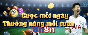 8n8n